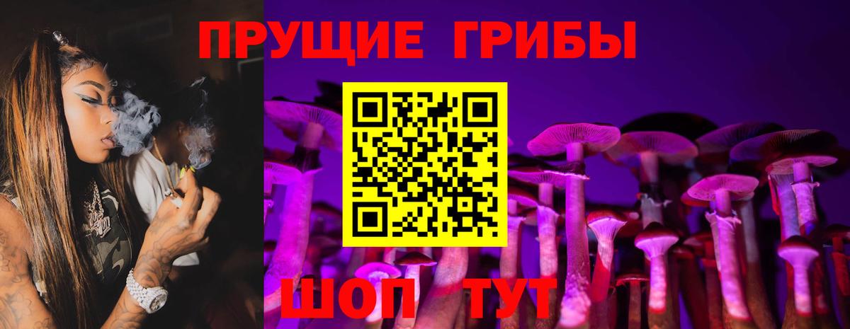 Знаменск  Галлюциногенные грибы Psilocybine cubensis  Вход с VPN 